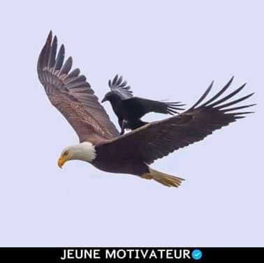 serge_abowindao's profile picture. Philosophe, sociopolitiste et publiciste.