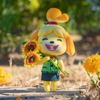 陶格曼 (@taogeman) 's Twitter Profile Photo