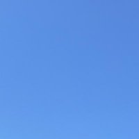 _ (@neginegi_c) 's Twitter Profile