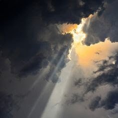 sennol66's profile picture. Prof