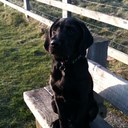 James Betteridge - @JBetteridge999 - Twitter