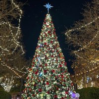 Tony Tone (@fothegoodlife) 's Twitter Profile