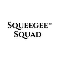 SqueegeeSquad(@_squeegeesquad_) 's Twitter Profile Photo