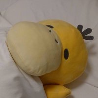 Ayaka@study (@ayaka29311530) 's Twitter Profile