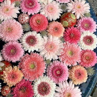 hirorin_dayo163's profile picture. 