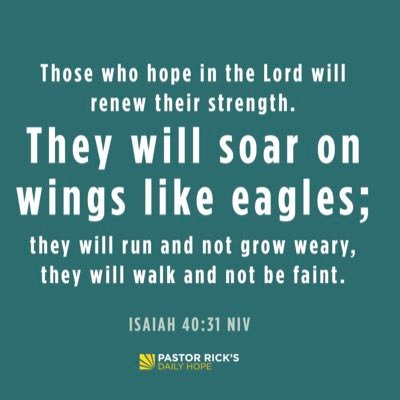 WayneWilliamsAL's profile picture. Not much to add here