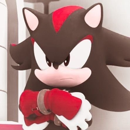 shadow the hedgehog 
age 
19