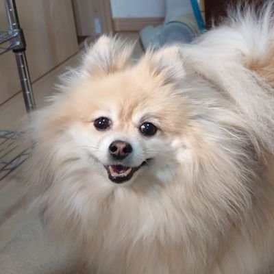 kagaribi1961's profile picture. ゴルフ大好き
エージシュートを目指して頑張っています。
道程は厳しい（笑）
ベストスコア　75
ベストハーブ　34