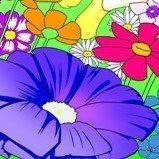 シのさんのプロフィール画像