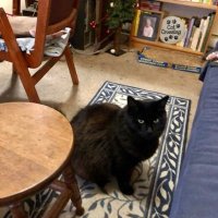 Peter Askin (@peteraskin1) 's Twitter Profile Photo Peter Askin (@peteraskin1) 's Twitter Profile Photo
