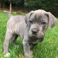 Teebizzle (@teebiznathaniel) 's Twitter Profile