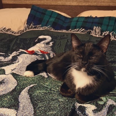 dreamsinarcades's profile picture. Its all the rage back home.