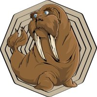 Walrus DAO (@walrusdao) 's Twitter Profile