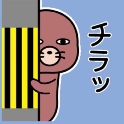 Uber0706's profile picture. ジャイロキャノピーをこよなく愛するアラ還のBBAです😨趣味…カラオケ🎤、瞑想🧘‍♀️、書道（歴15年／六段）、卓球🏓（歴3年）／推し🩷ヌオー（ポケモン）、ドンペン（ドンキ）