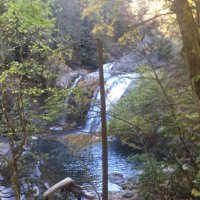 Nick (@benpipes_) 's Twitter Profile