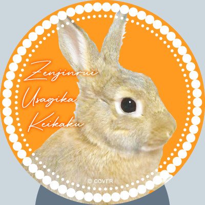 Rkn500gus's profile picture. 