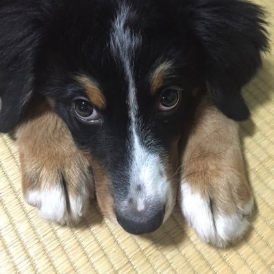 種田 芽衣子Maycoさんのプロフィール画像