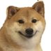 Tem Notall (@realtemmius) Twitter profile photo