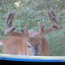 Bob Schubert - @Buckhunter_Bob - Twitter