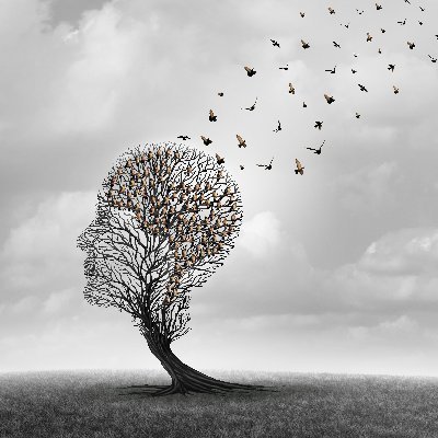 BrianNewcomb19's profile picture. Thoughts on a page