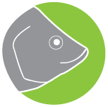 RoyalTila's profile picture. Royal Tila is an eco-friendly farm located in Punta Gorda, FL. We specialize in Tilapia farming and Aquaponics. We also grow microgreens and edible flowers.