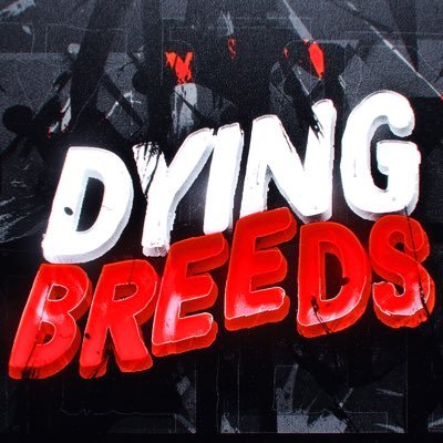 Gaming and Content Group | For All Business Inquiries 📨 dyingbreedbusiness@gmail.com