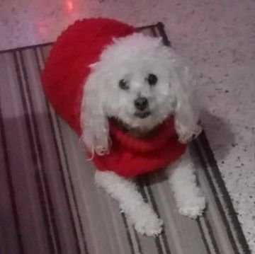 roxlag's profile picture. 