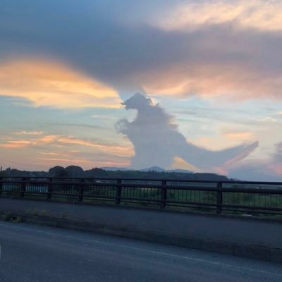 chicken_BOpapa's profile picture. 脱チキントレーダーを目指しています。メンターからの教えを守り、FXの裁量を磨いてひたすら修行中。「真理」は常にシンプル。Nしか勝たん。家族のためにも頑張ります！！