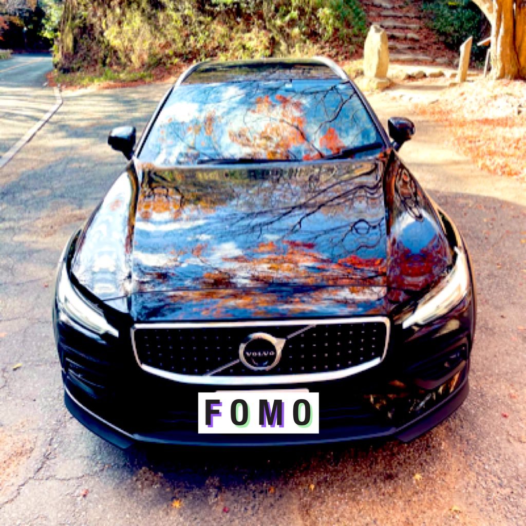 NOAQ79857JzMg5L's profile picture. 