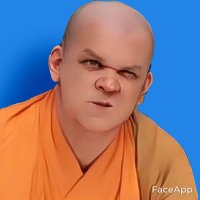 Angry Buddha 🙈🙉🙊 (I am not the actual Buddha)(@the_grumpy_one) 's Twitter Profile Photo