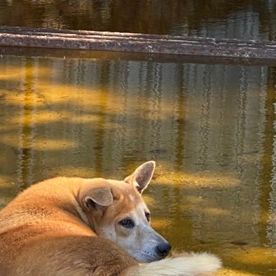 allkitz's profile picture. 