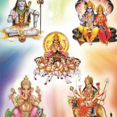 vagaudiaries's profile picture. 