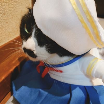 箱崎の嫁。介護士してます。食べることと寝ることと猫が好き。
