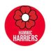 Hamwic Harriers Running club, Southampton. (@HamwicHarriers) Twitter profile photo