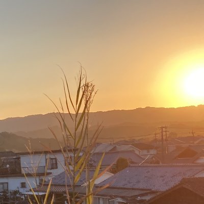 ◉地方でゆるく暮らす50代サラリーマン┃座右の銘；人間万事塞翁が馬┃