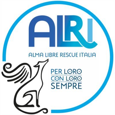 Alma Libre Rescue Italia è un’Associazione che si occupa di salvare e far adottare i Galgos e non solo,vittime di sfruttamento e maltrattamento in Spagna.