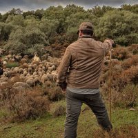 felipe Molina (@felipemolina73) 's Twitter Profile Photo felipe Molina (@felipemolina73) 's Twitter Profile Photo