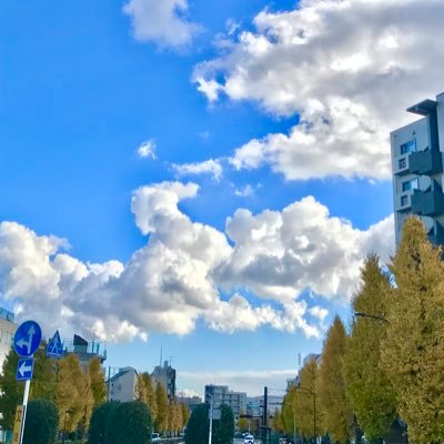 m0_n7d's profile picture. 無言フォロー、ごめんなさい。まだまだ初心者ですが、宜しくお願いします。