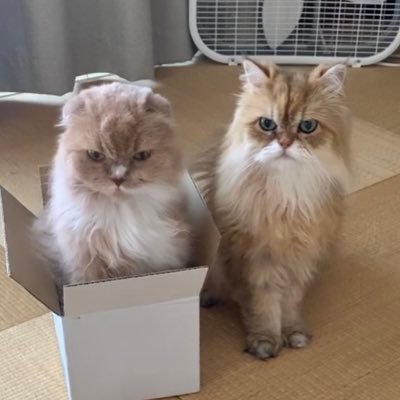 まきちく(貯金）、うちう、テルグ語手拭い企画さんのプロフィール画像