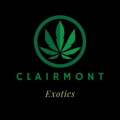 Imported tea curated by connoisseurs of the highest order. For sale only at Clairmont Exotics.
