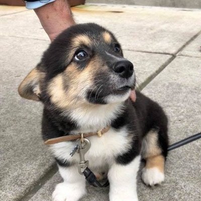 HungHoa120986's profile picture. 