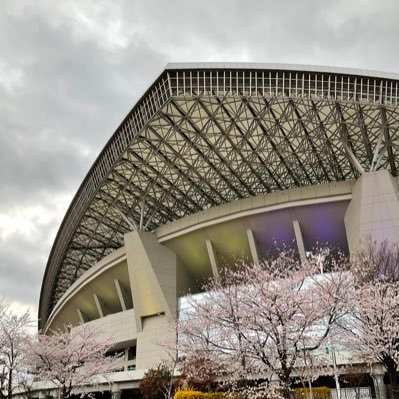 findinghous's profile picture. 何処に住もうかな