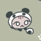 もちさんのプロフィール画像