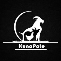 Tiny Mudhomeni (@kunapote) 's Twitter Profile