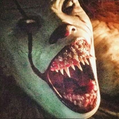 in79814761's profile picture. 