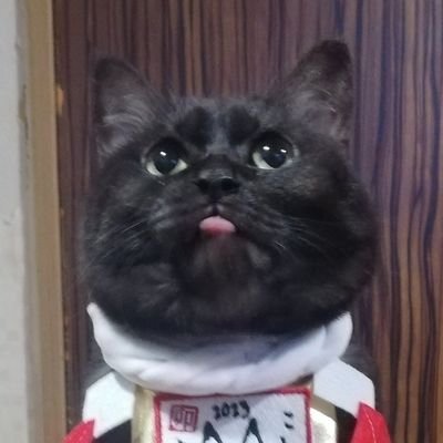 fukumaru2019's profile picture. 猫と音楽が好きなおばちゃん。ライブ行きたい病患ってます。基本雑食なので良いと思えば何でも聴くし呟きます。ミュート推奨。推しは推せる時に推せ。後悔のないように今やりたいことをやる。
基本的に無言フォローはフォロバしません🙏よくわからん鍵垢やエロ垢は即ブロックします