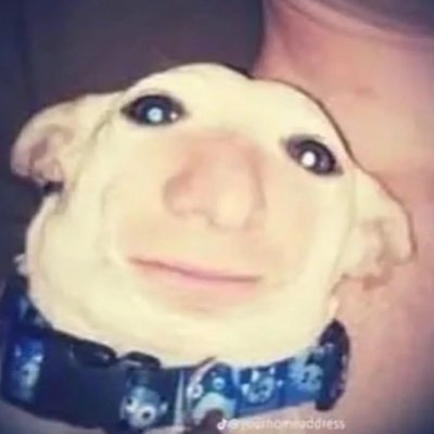 CarolusRex521's profile picture. Joder twitter todas mis amigas usan discordia