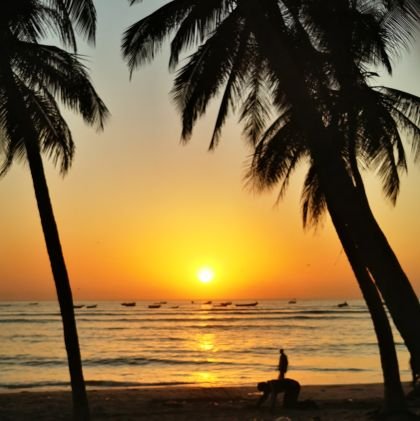 moussa_mouslim's profile picture. 