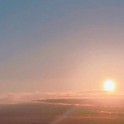 harucha9's profile picture. 