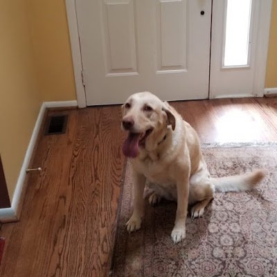 OCHE1313_'s profile picture. 